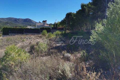 Terra a Biar, Alicante, Biar - € 129.500 | Ref: SF0365 - foto 3